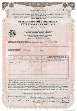 Сертификат специалиста